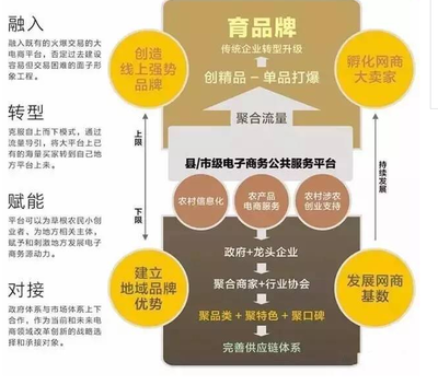 縣域電商的生殺大權(quán) 為何示范縣選擇與第三方服務(wù)商共舞